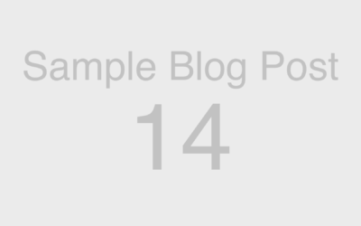 Web Blocks: Sample Blog Post 14