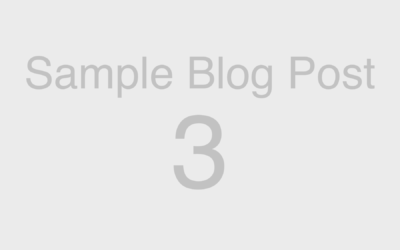 Web Blocks: Sample Blog Post 3